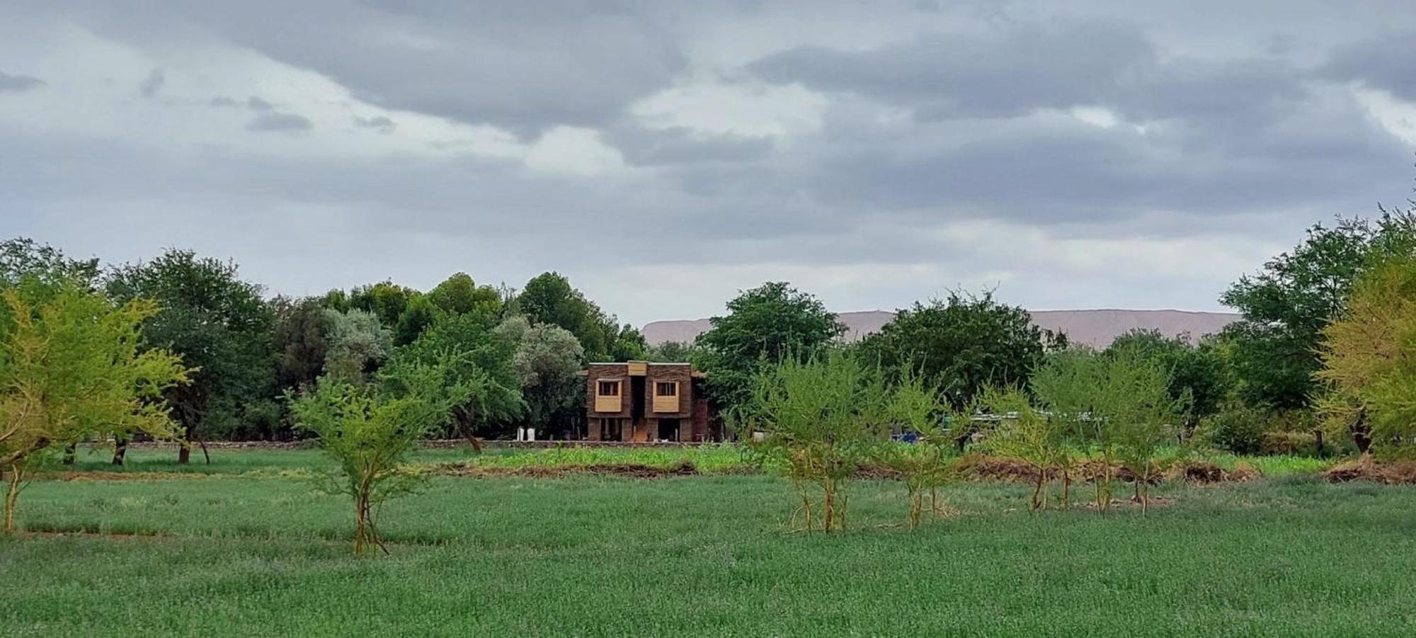 Foresta Atacama Lodge San Pedro de Atacama Exterior foto